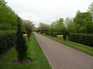  Belle allée goudronnée, Regent's park
